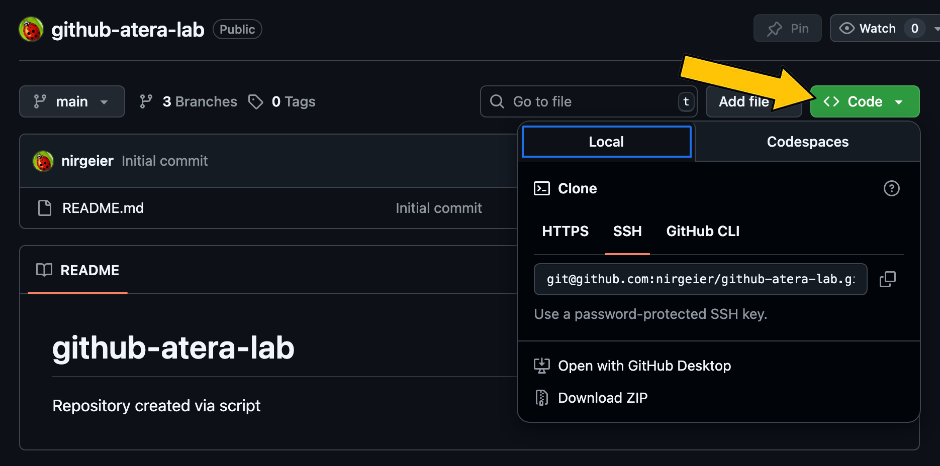 Clone Repository